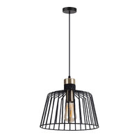 ASHLEY 1lt Large Cage Flex Pendant