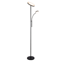 SAMSON Dimmable Mother & Child Floor Lamp