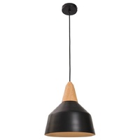 NOEL 1lt 25w 260mm Timber Metal Flex Pendant