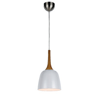 POLK 1lt 20cm Metal Flex Pendant