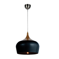 POLK 1lt 30cm Metal Flex Pendant