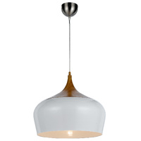 POLK 1lt 30cm Metal Flex Pendant